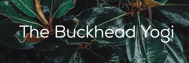 TheBuckheadYogi cover image