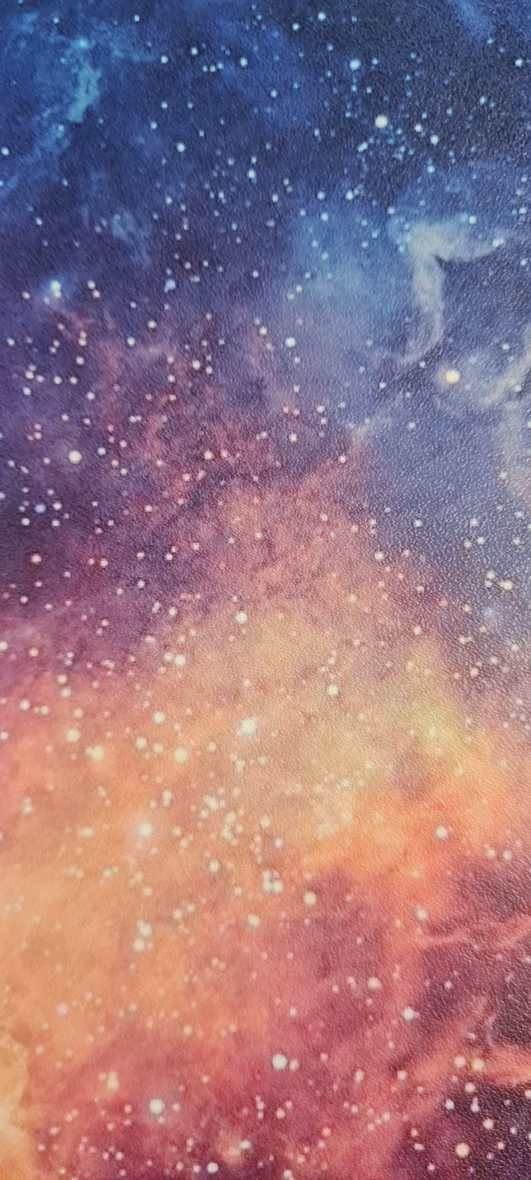 TheBustyBeauty banner image