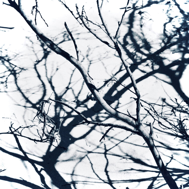 Dan banner image