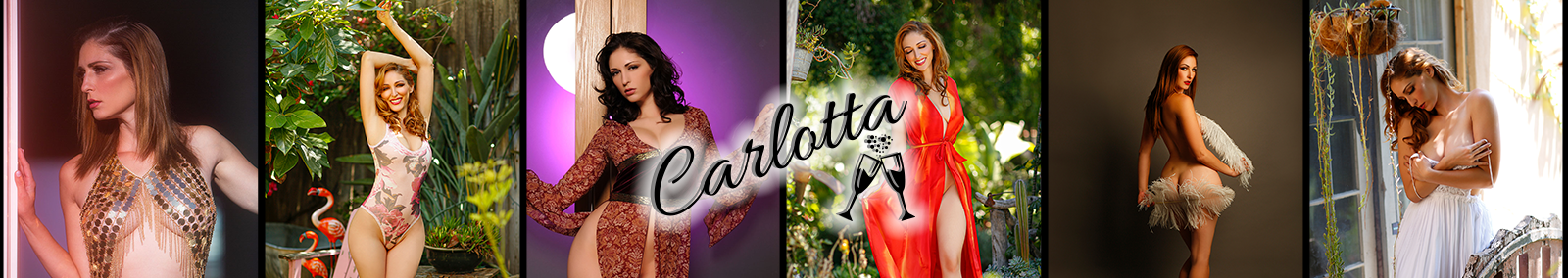 Carlotta Champagne banner image