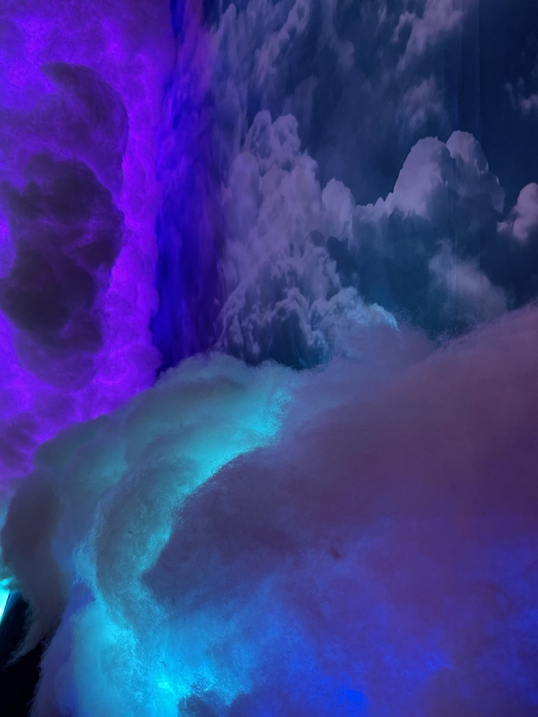 ☁️LVNDRPNK ☁️ cover image