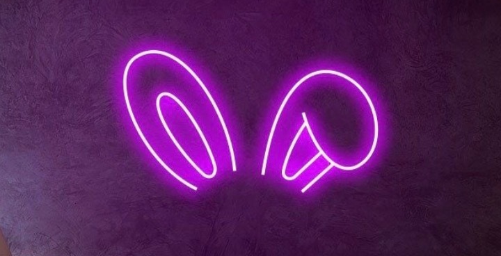 Couple Bunny banner image