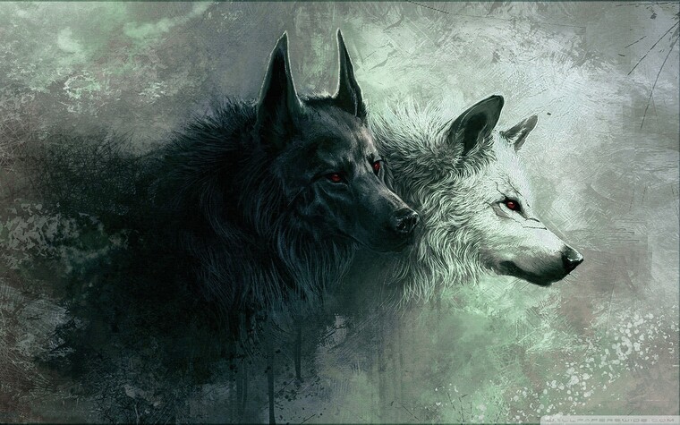 The_dark_wolf666 cover image