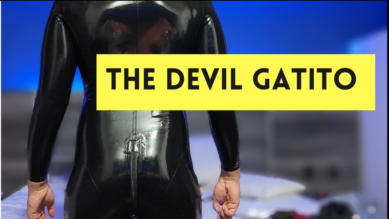 Gatito cover image