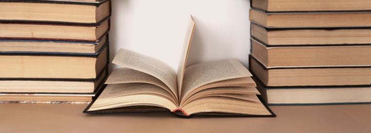The Dirty Bookworm banner image