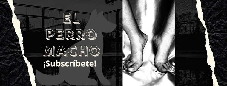 The Dog Macho cover image