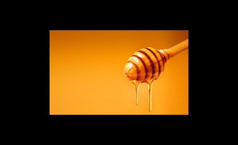 Dunkin in my bits banner image