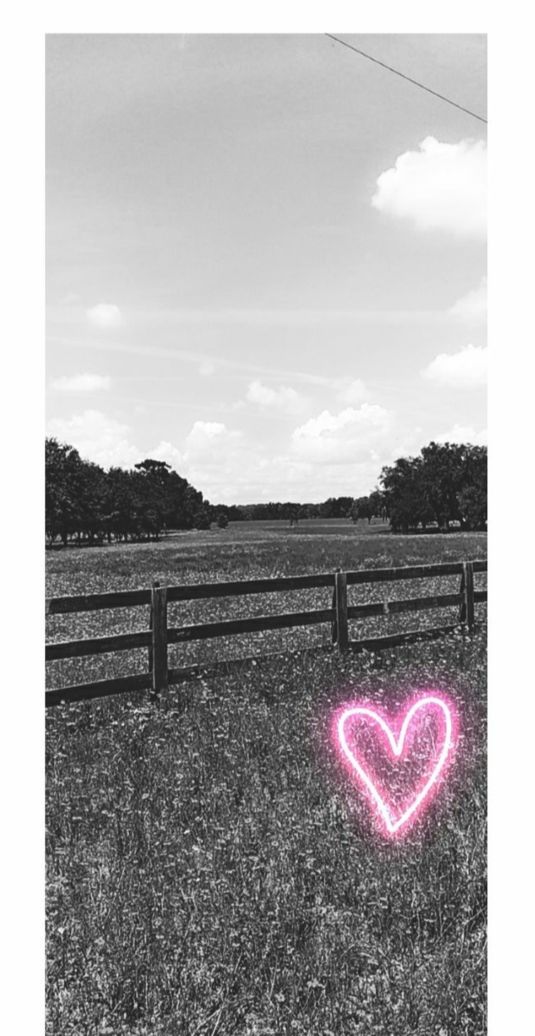 Lindsey banner image