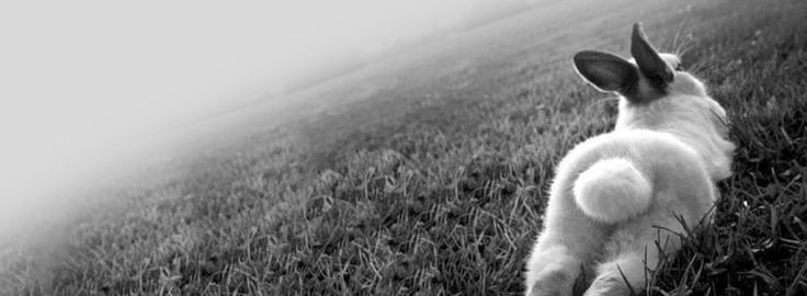 Ther banner image