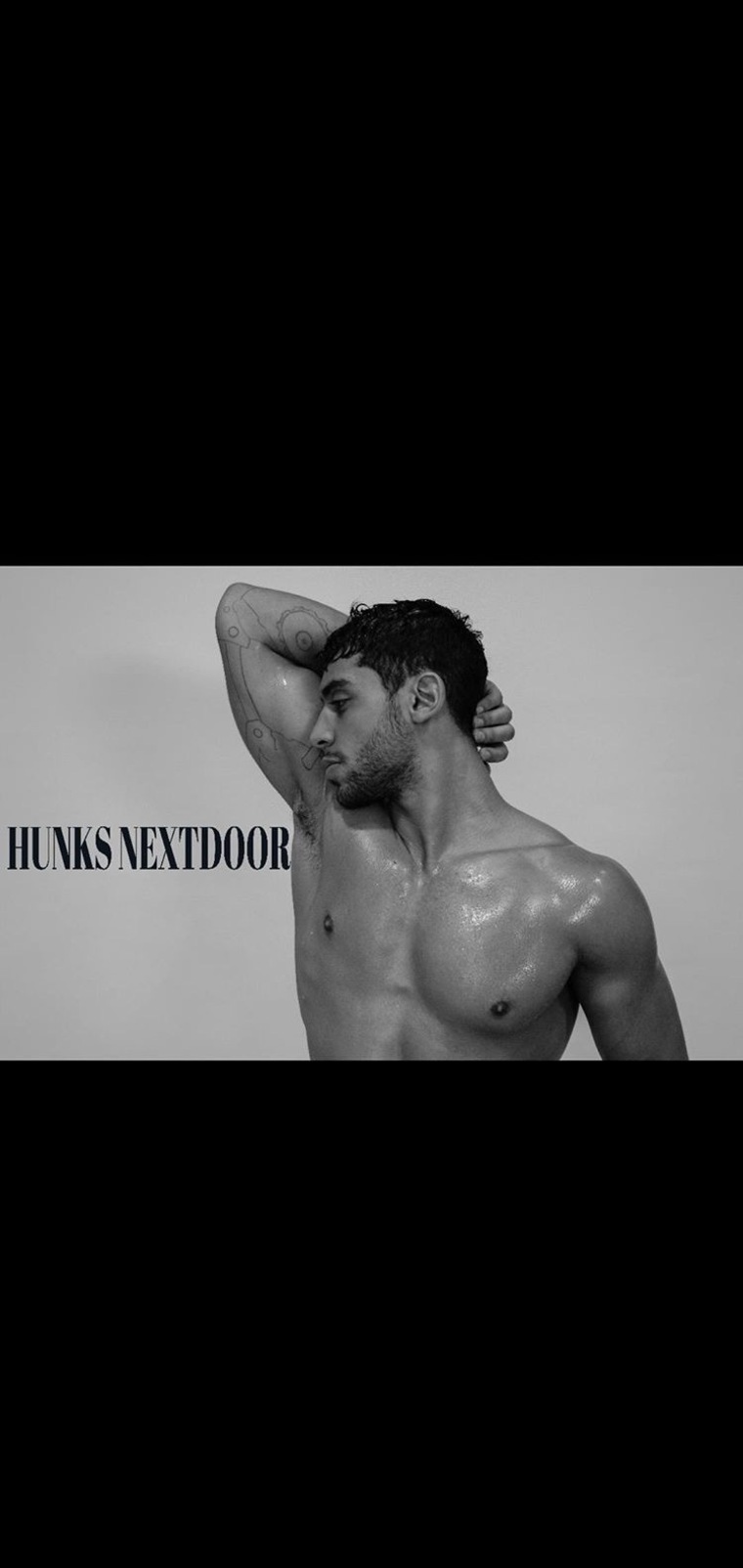 The Egyptian Hunk cover image