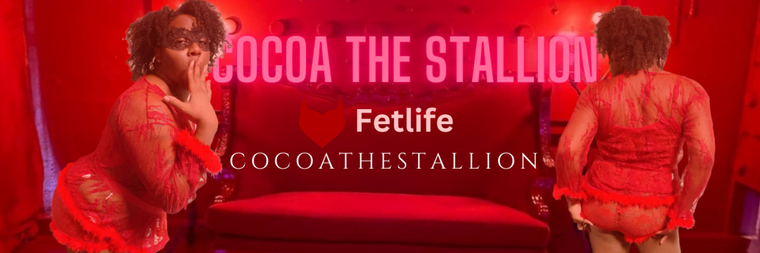 Cocoa The Stallion banner image