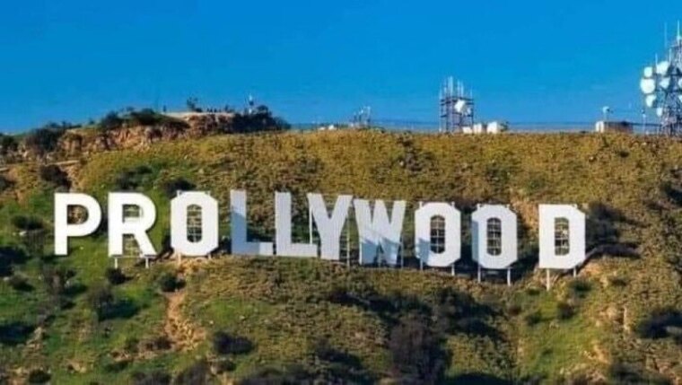 VeinyWoods banner image
