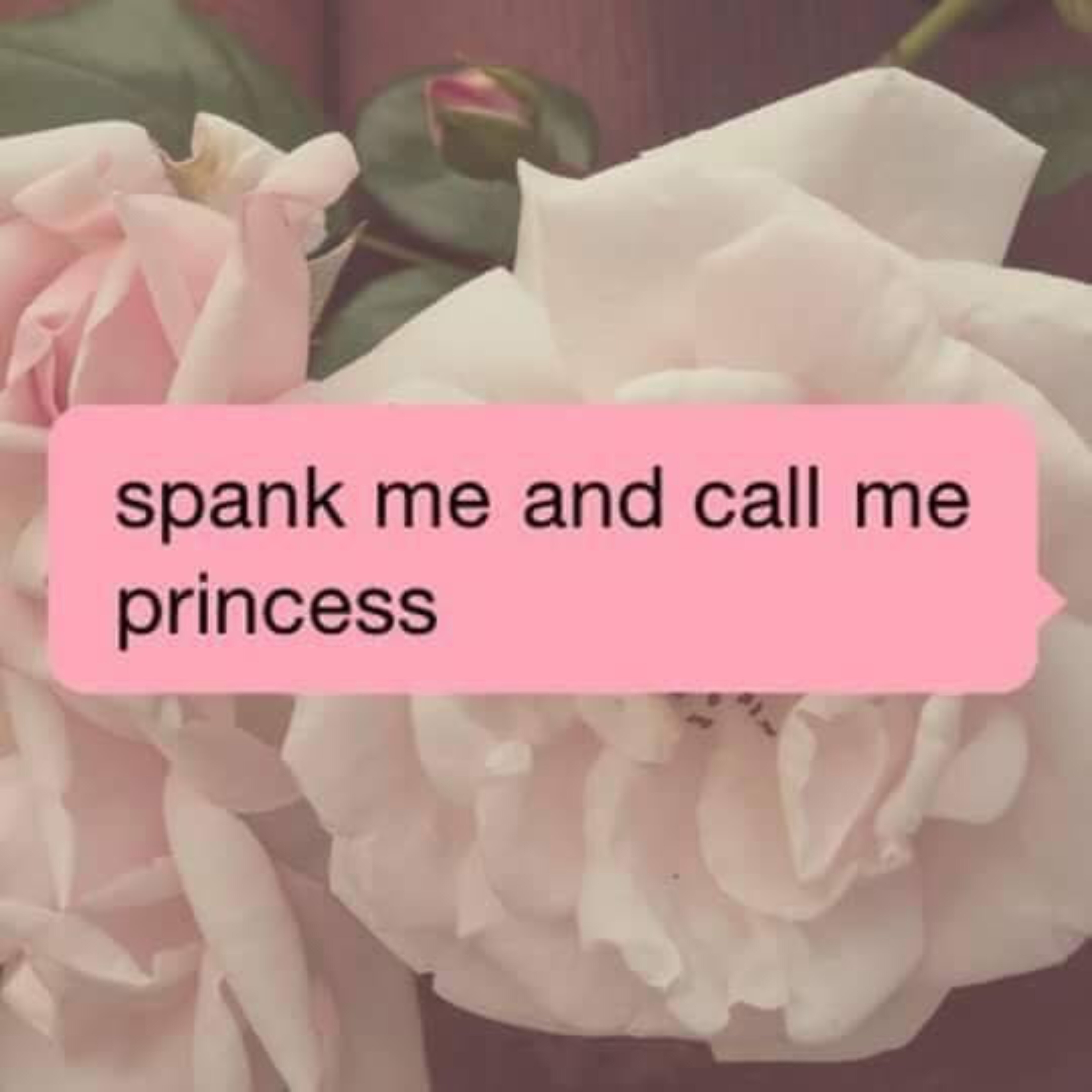 Princess Sev Free banner image
