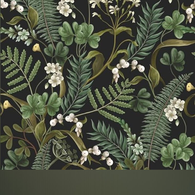 The Ever Dying Countess cover image