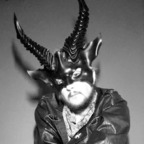 Foxy avatar
