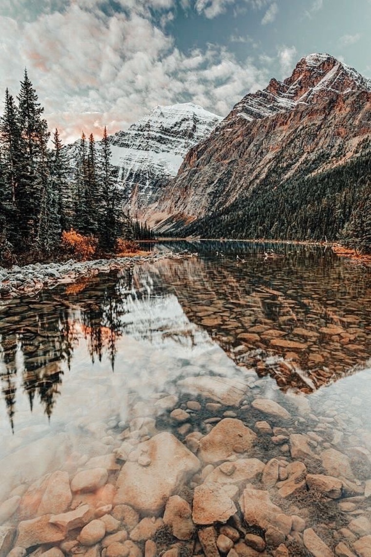 Theginger_snap cover image