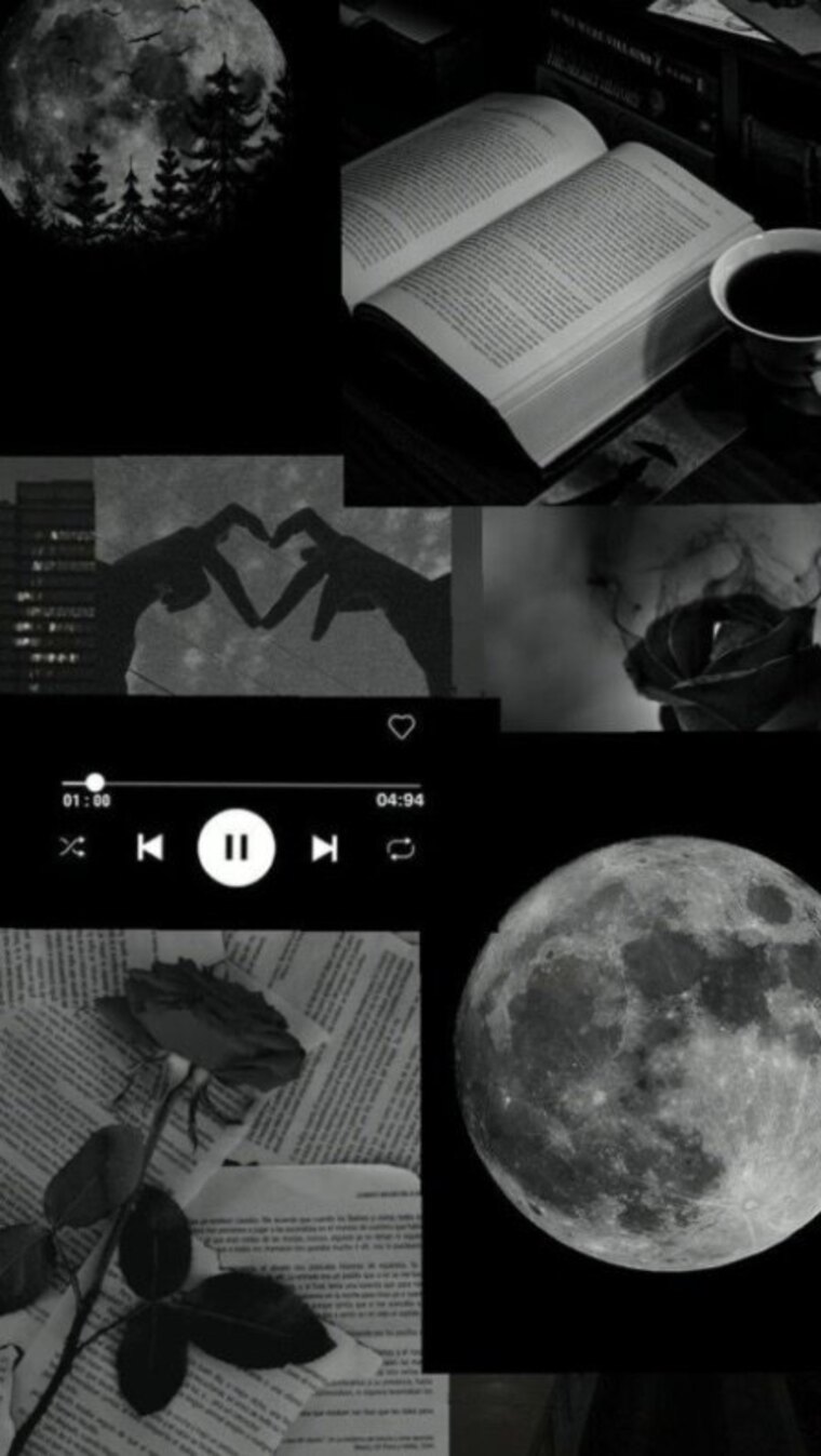 Mangø Føxx cover image
