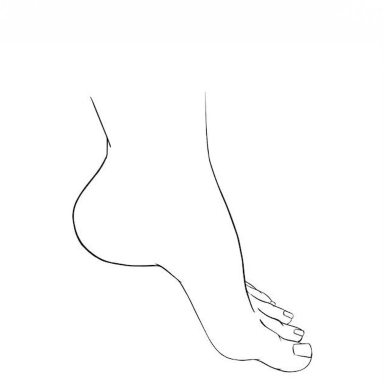 Dourada cover image