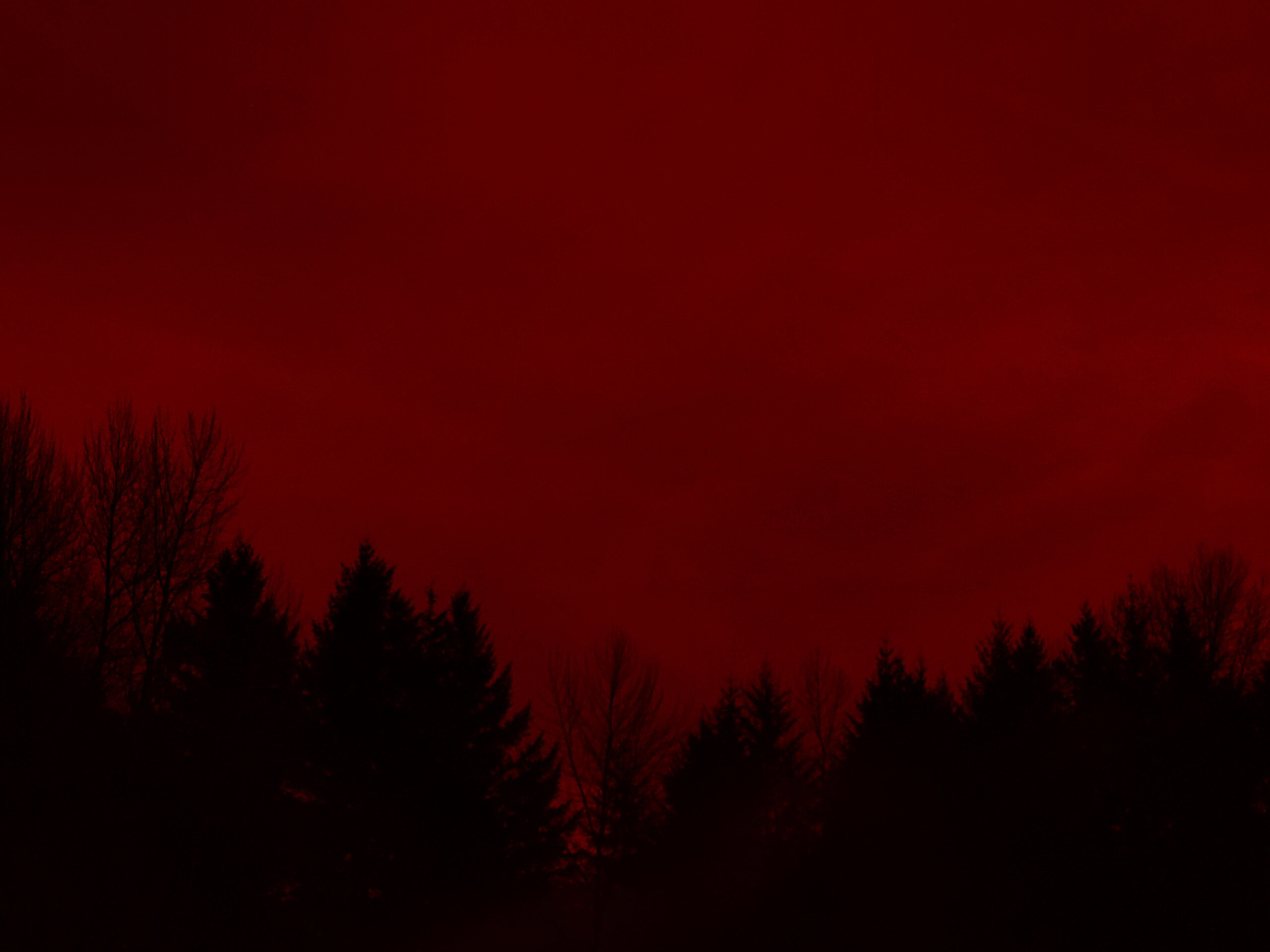 Gothic Dumpling banner image