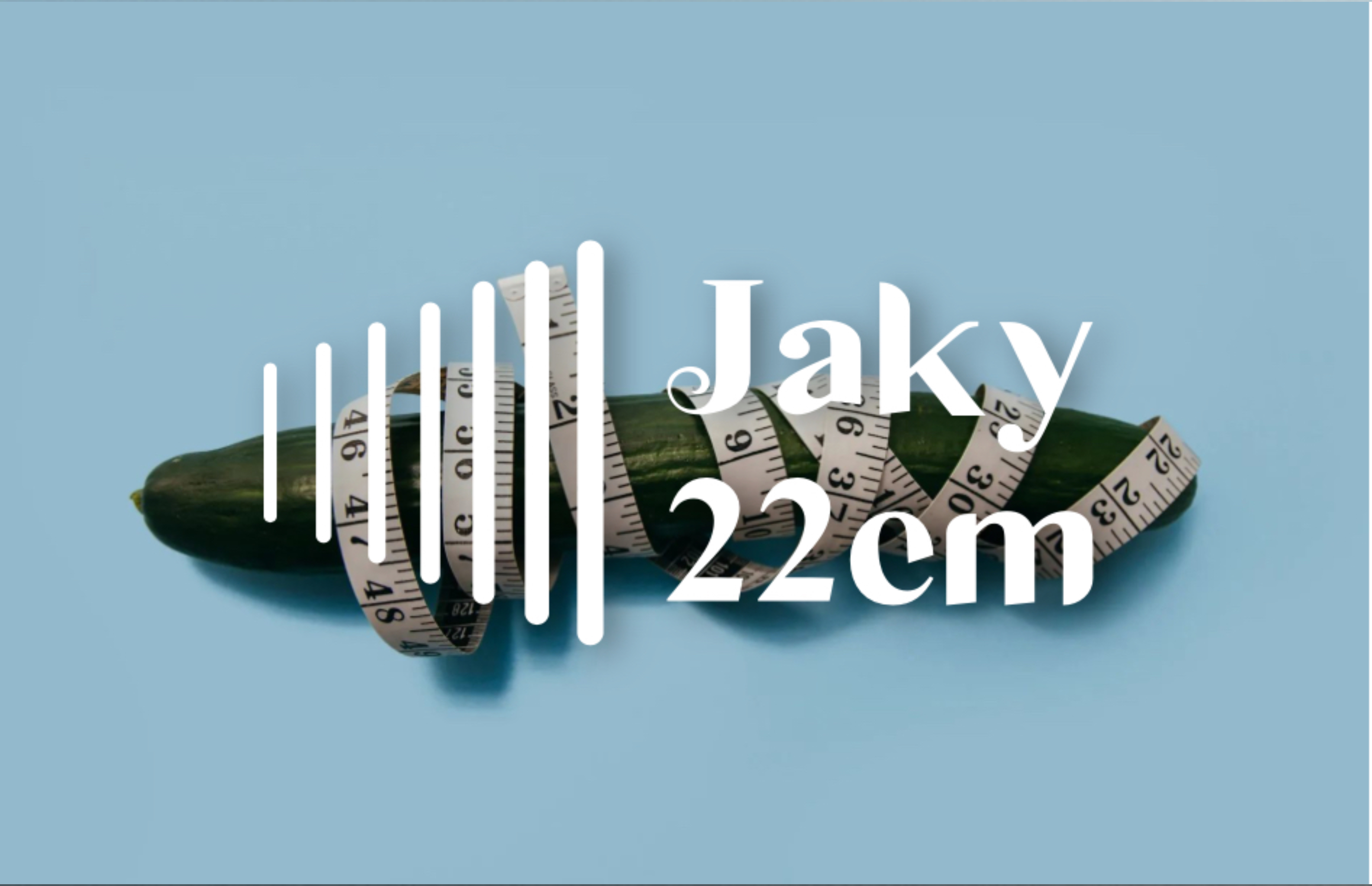 Jaky 22cm Free Page banner image