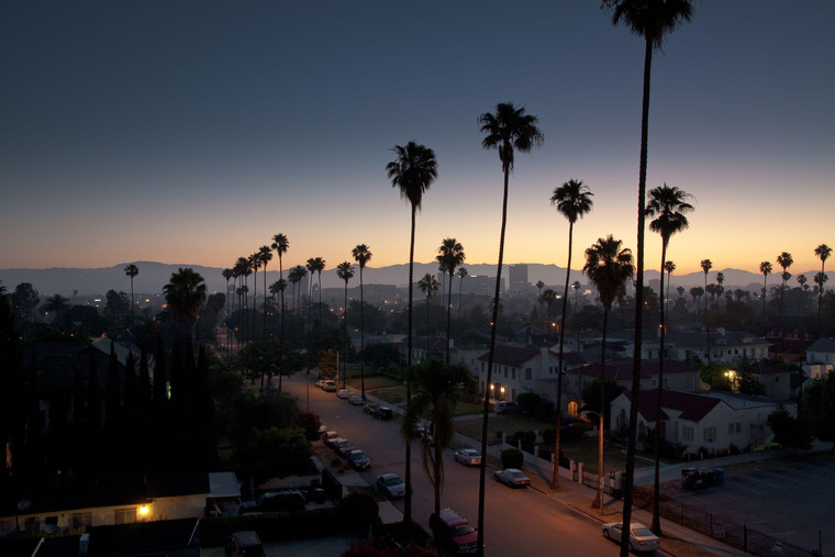 Hollywood cover image