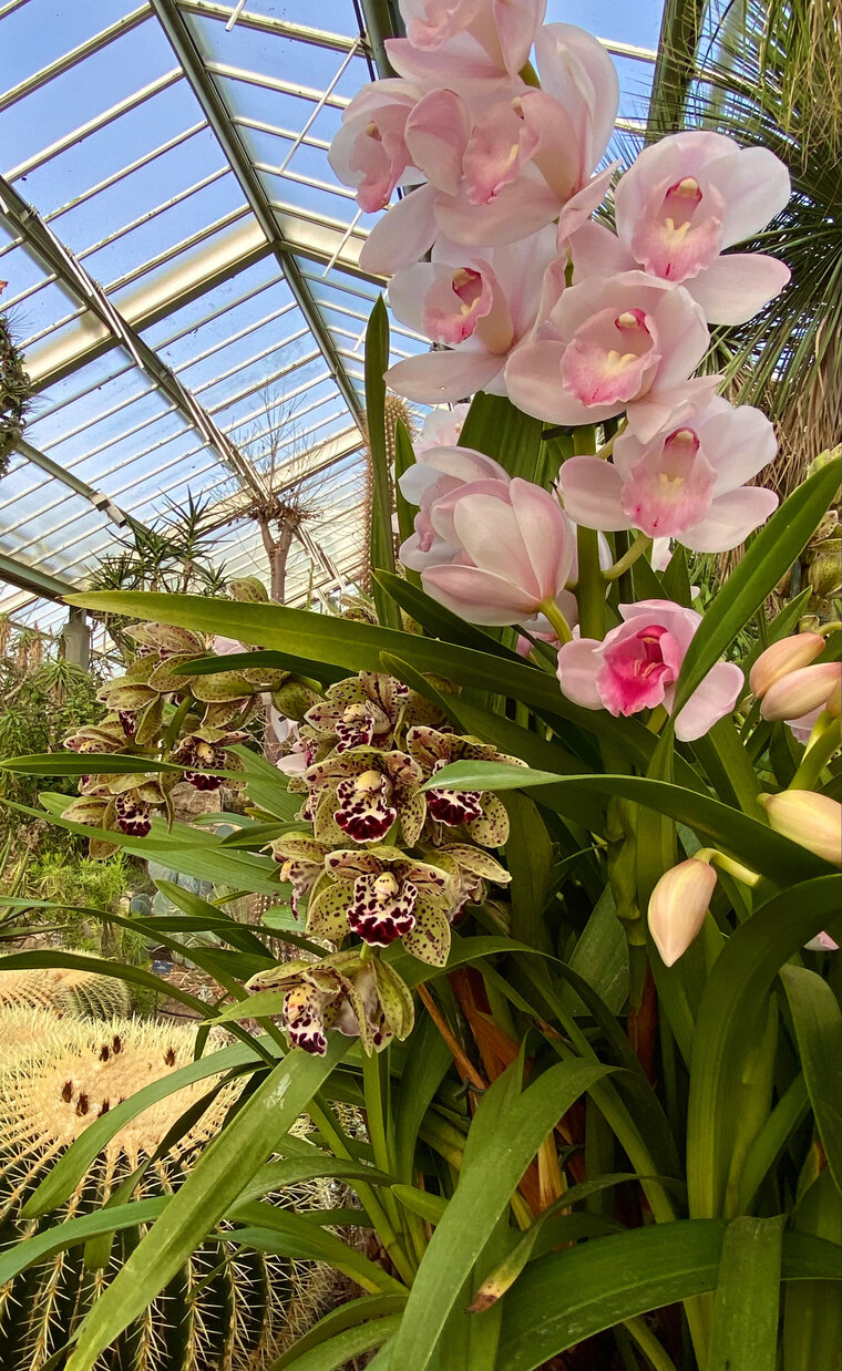 HUNTY FLOWERS banner image