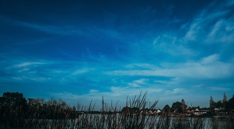 TheIntrovert412 cover image