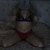 The Ivy Rose avatar