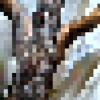 The Kre8tor.X avatar