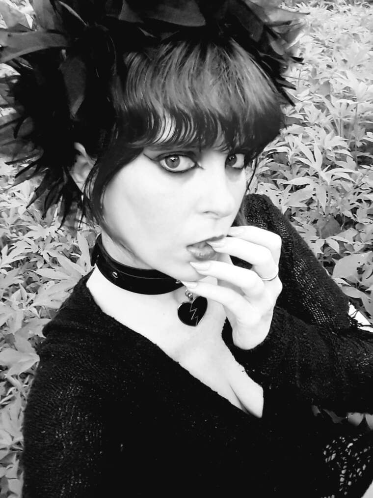 The Lady Kat cover image