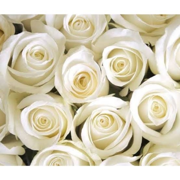 LadyMo@naLisa banner image