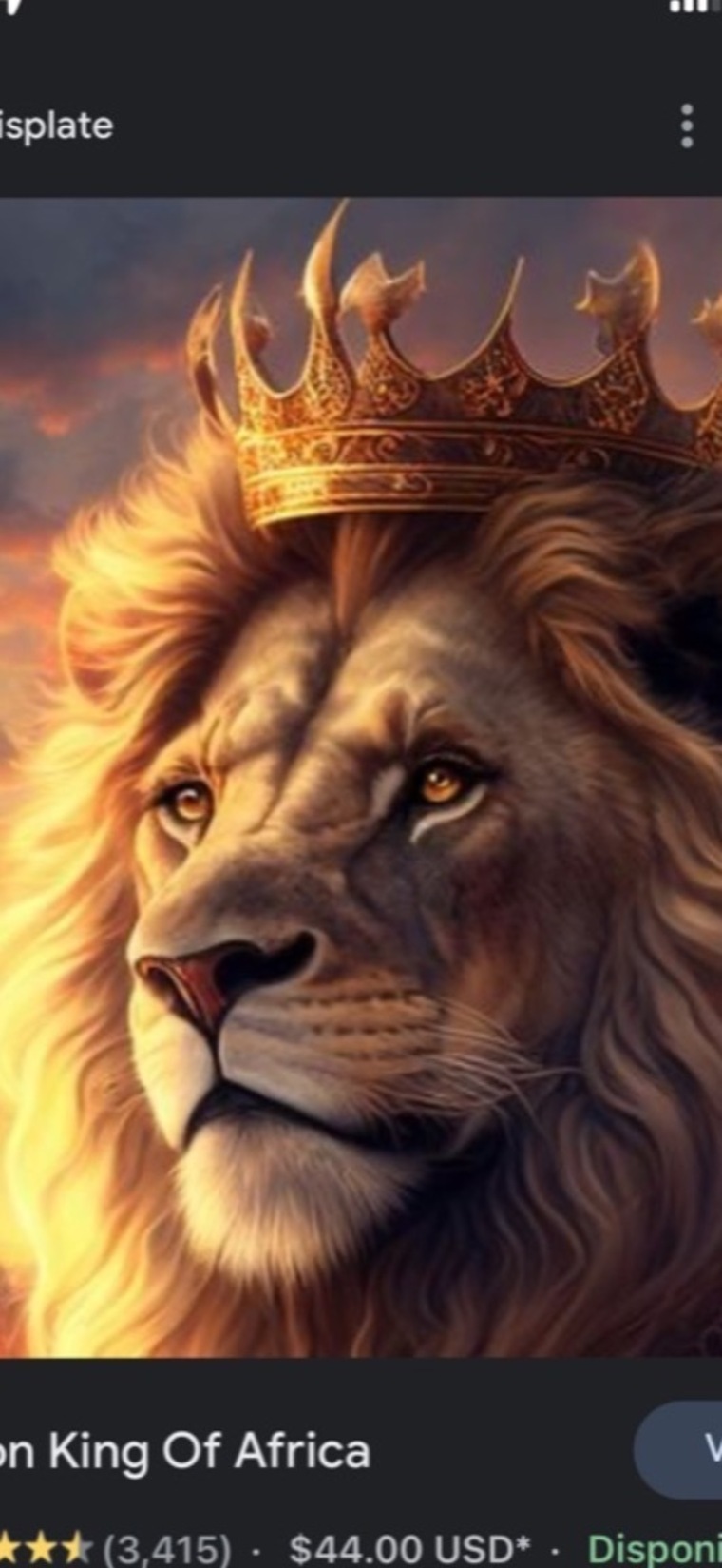 🦁THE LIONESS🦁 banner image