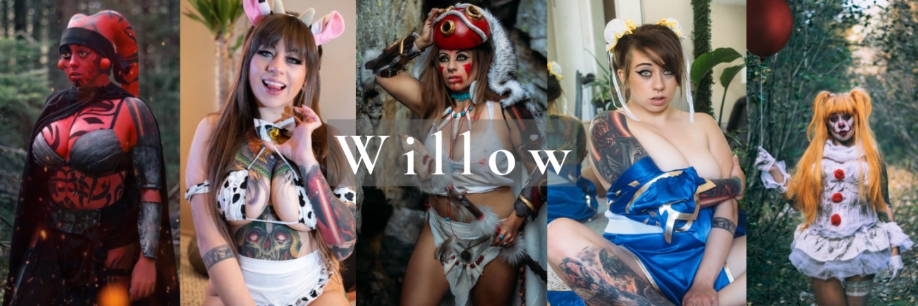 Willow banner image