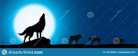 Lone Wolf cover image