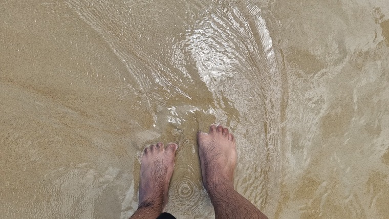 Toe Lord banner image
