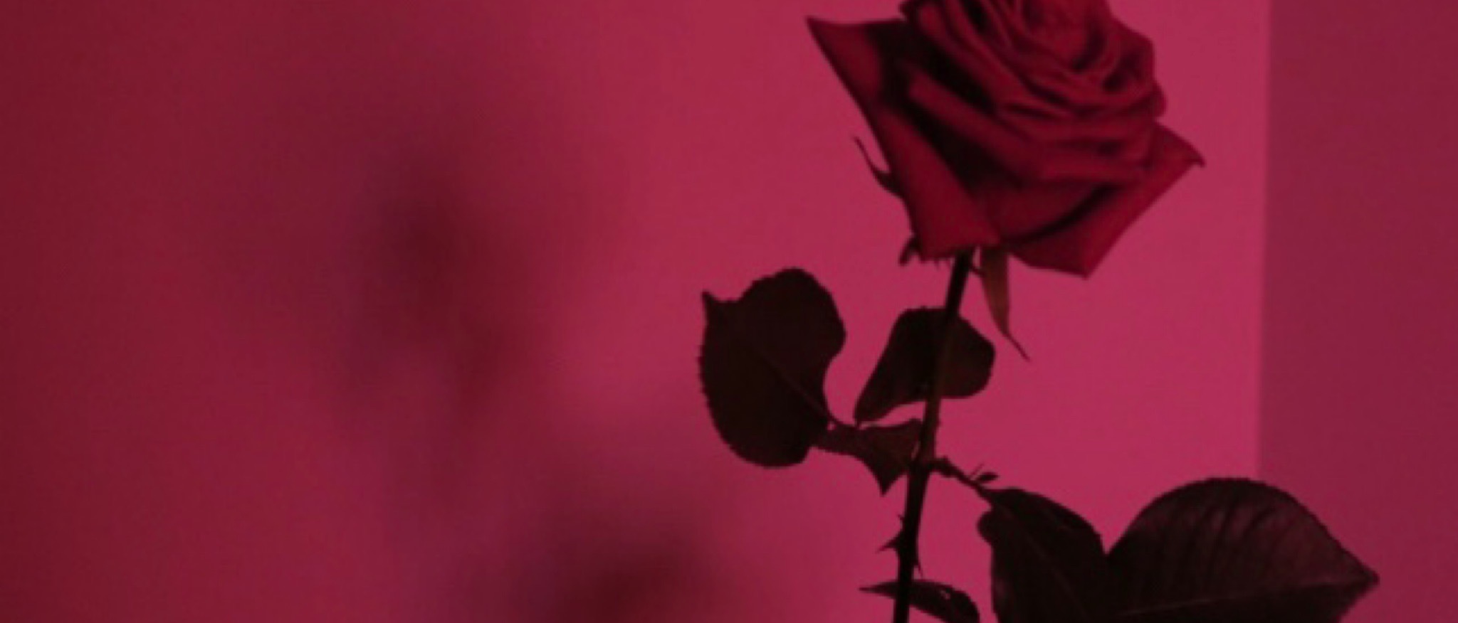 theloveshack banner image
