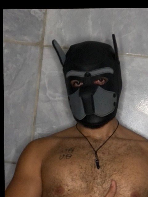 The MaskedPE cover image