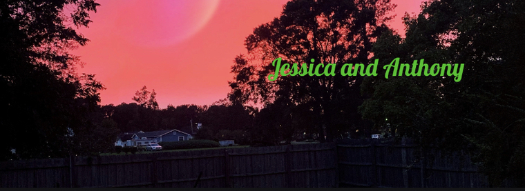 Jessica and Anthony banner image