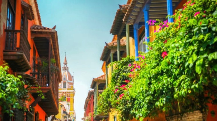 The Masked Colombian cover image
