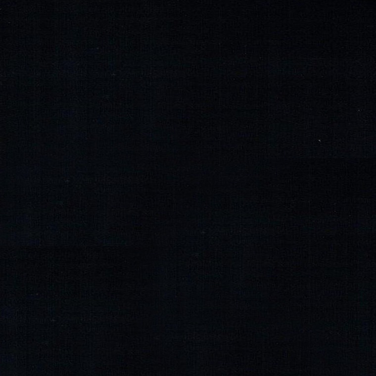 Miss Domi cover image