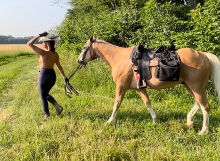 FREE MODERN DAY COWGIRL cover image