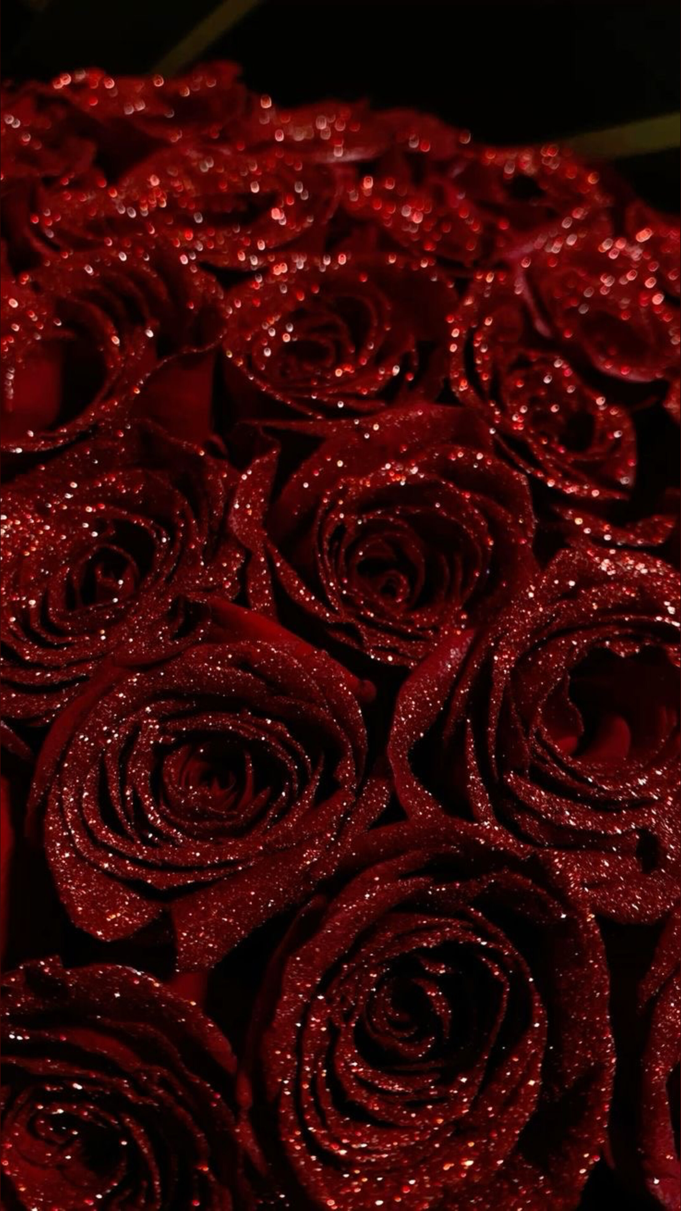 Symphony ♡ banner image