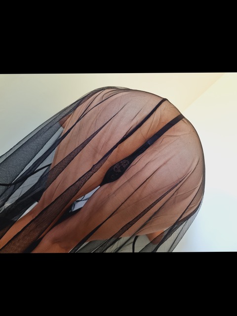 themysteriouscamila cover image