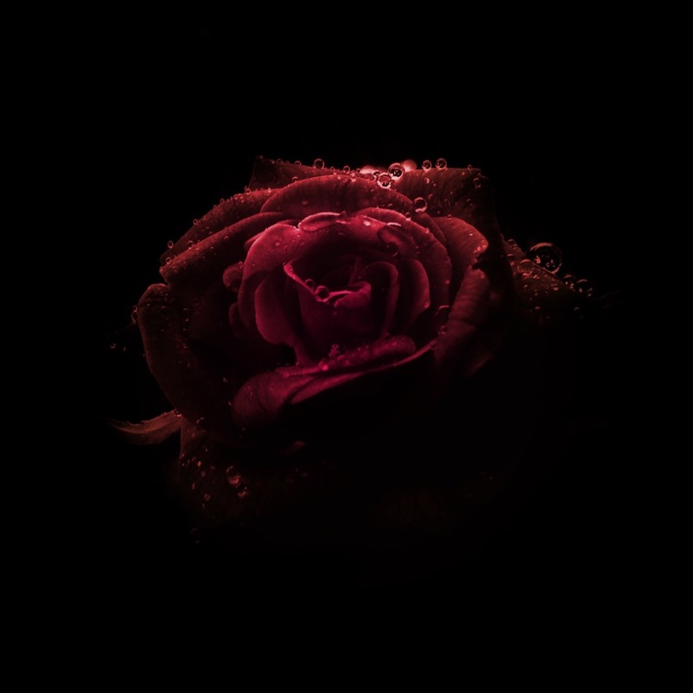 Lana Luna ๐ (PREMIUM) banner image