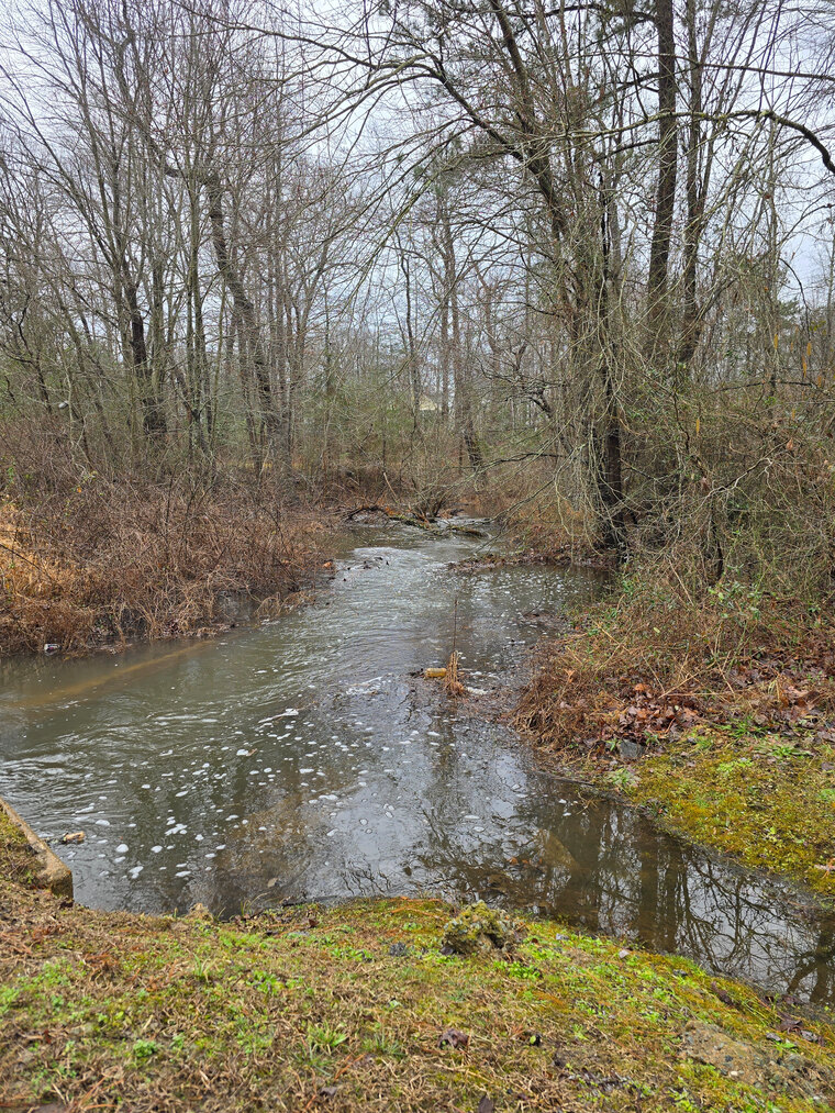 The Naked Flow cover image