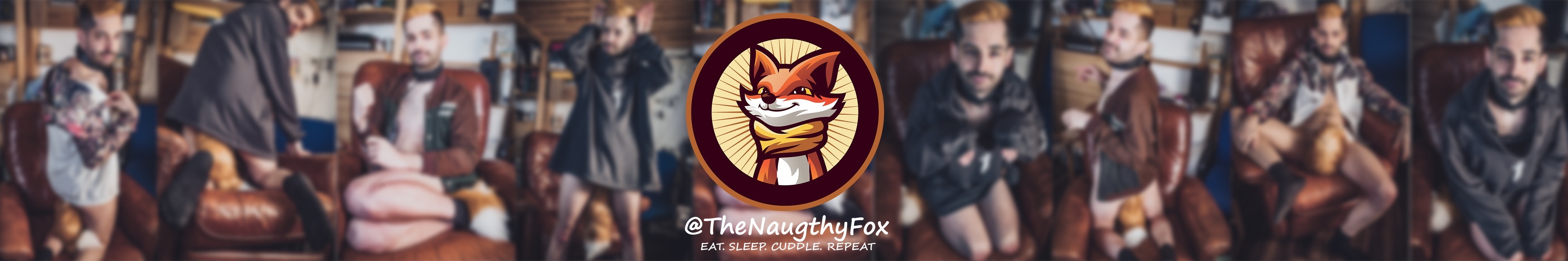 TheNaugthyFox banner image