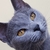 TheNaughtyM avatar