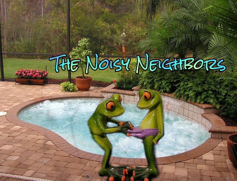 The Noisy Neighbors cover image