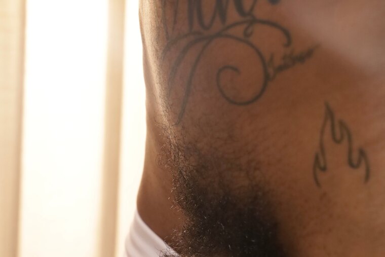 Theo 25cm banner image