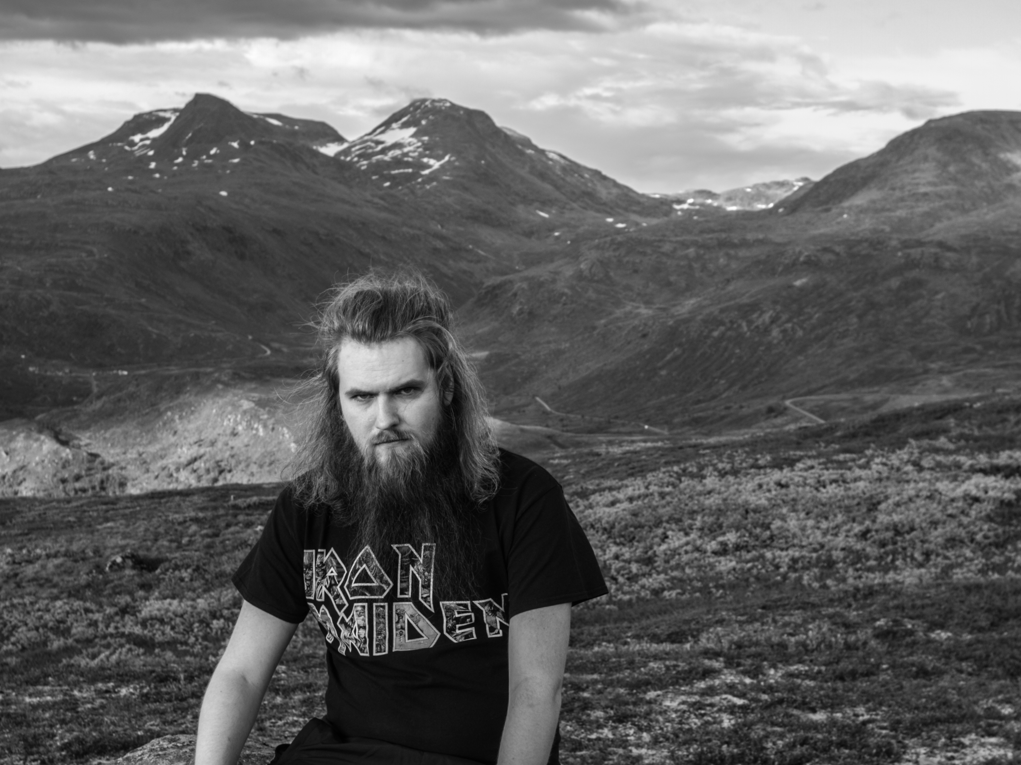 Theo The Viking banner image
